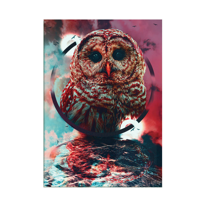 OWL - Printed Acrylic Wall Art Poster