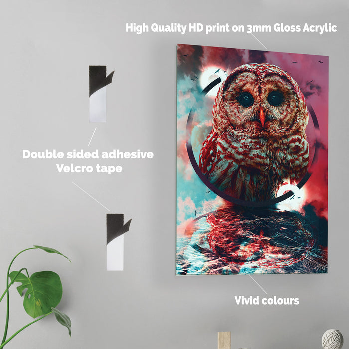 OWL - Printed Acrylic Wall Art Poster