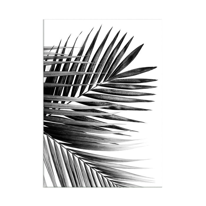 Palm Leaves - Acrylic Wall Art Poster Print