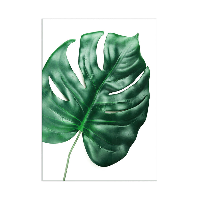 Monstera Leaf - Acrylic Wall Art Poster Print