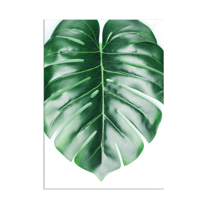 Monstera - Acrylic Wall Art Poster Print