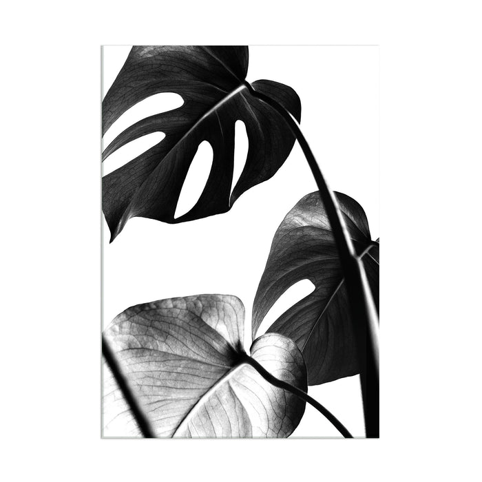 Plant Leaves - Acrylic Wall Art Poster Print