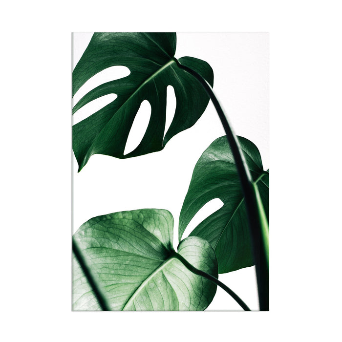 Plant Leaves - Acrylic Wall Art Poster Print
