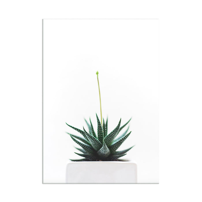 Leaves - Acrylic Wall Art Poster Print