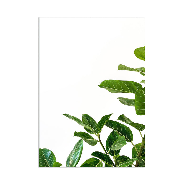 Leaves - Acrylic Wall Art Poster Print