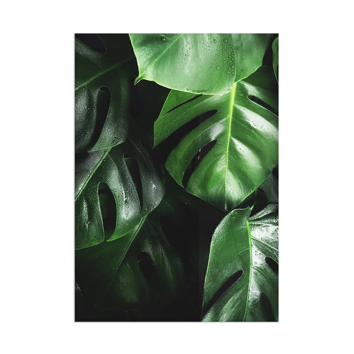 Leaves - Acrylic Wall Art Poster Print