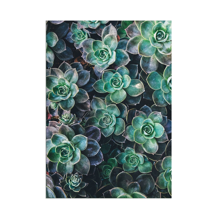 Leaves - Acrylic Wall Art Poster Print
