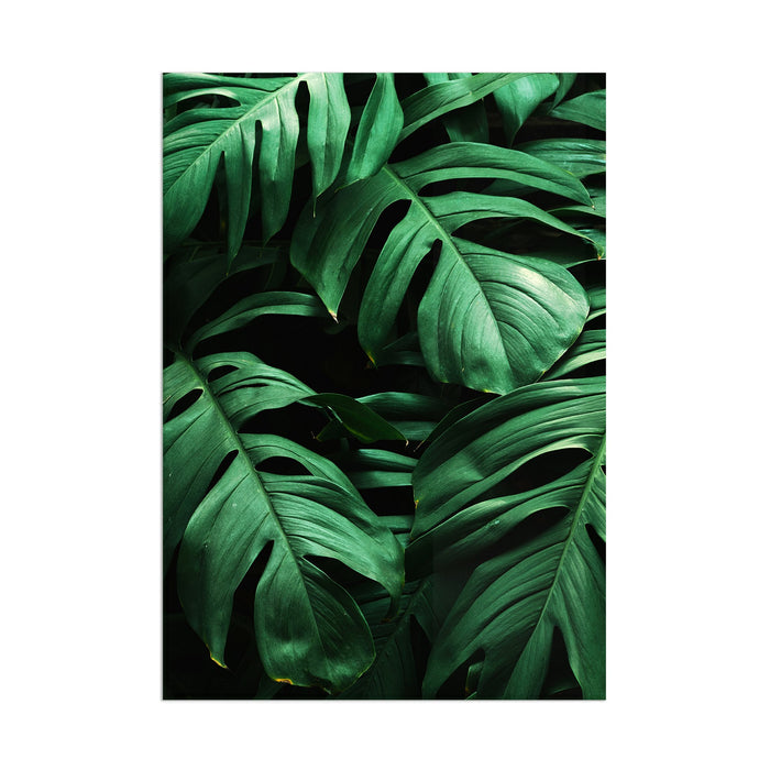 Leaves - Acrylic Wall Art Poster Print