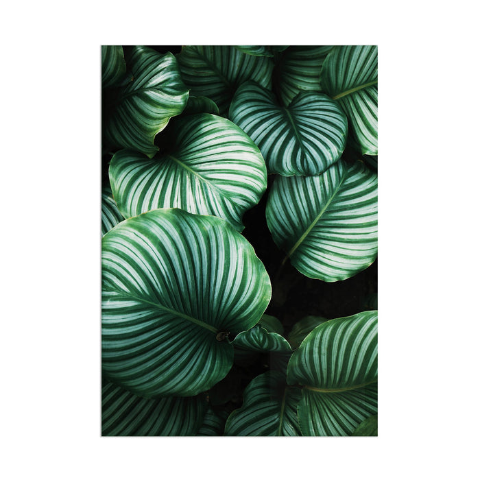 Leaves - Acrylic Wall Art Poster Print