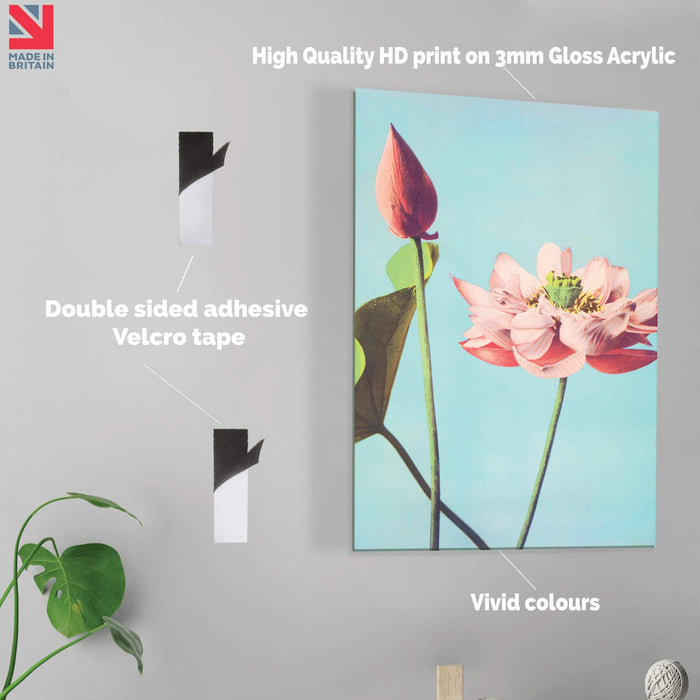 Pink Flower - Acrylic Wall Art Poster Print