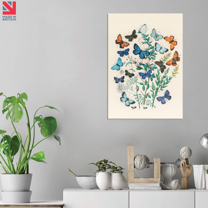 Flowers and Butterflies (vintage) - Acrylic Wall Art Print