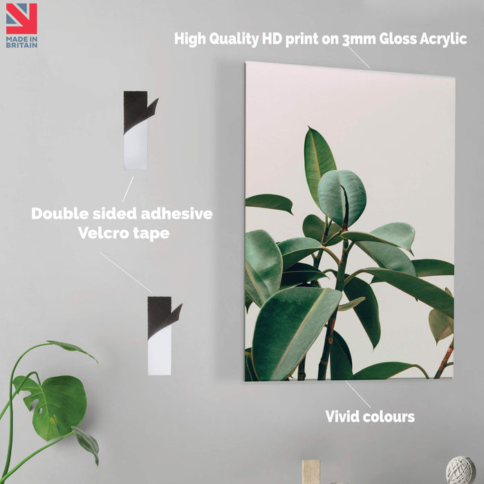 Palm Plant - HD Acrylic Wall Art Print