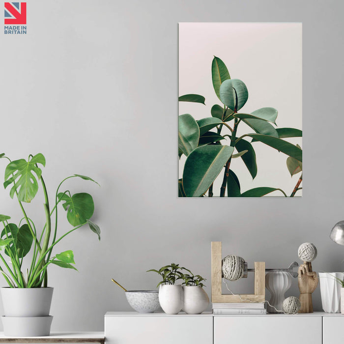Palm Plant - HD Acrylic Wall Art Print