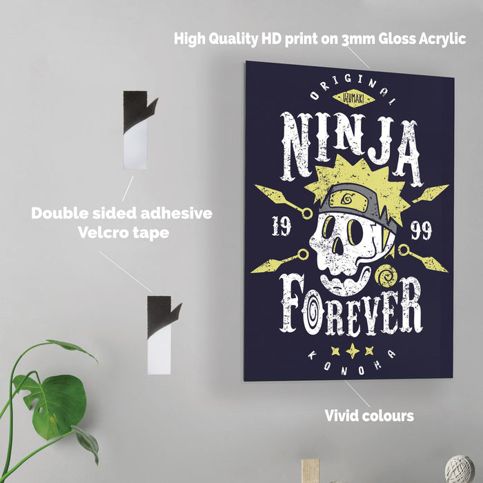 Ninja Forever - Acrylic Wall Art Poster