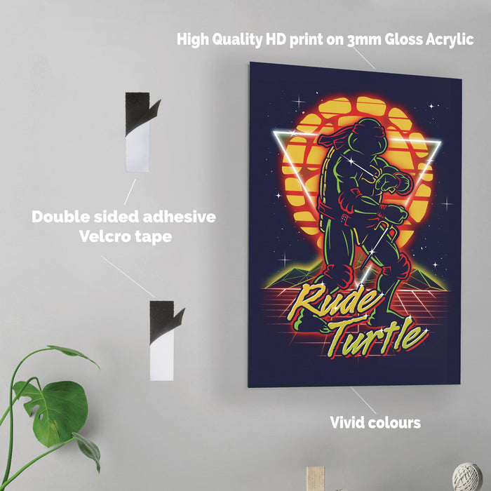 Retro Rude Turtle - Acrylic Wall Art Poster