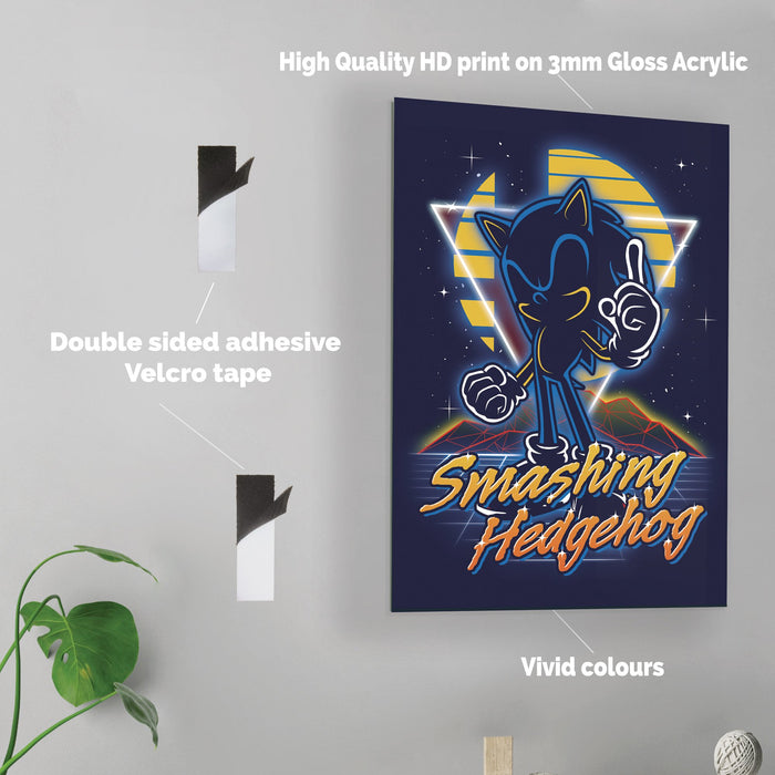 Retro Smashing Hedgehog - Acrylic Wall Art Poster