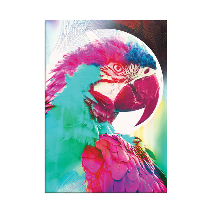 Parrot - Printed Acrylic Wall Art Poster
