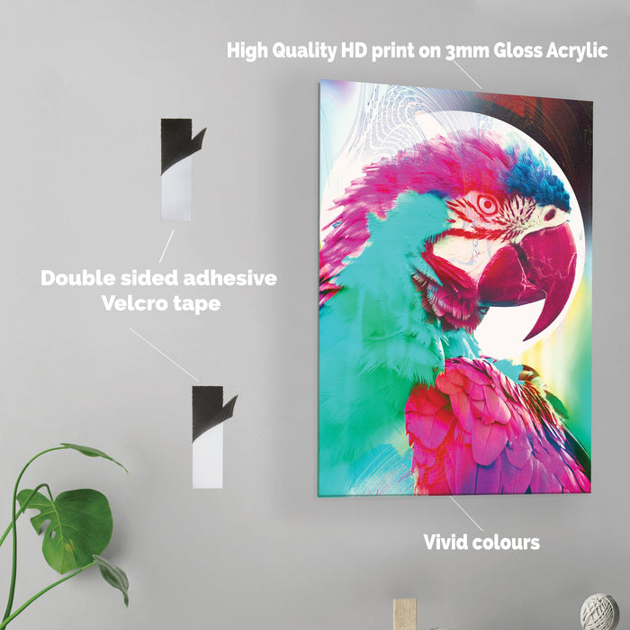 Parrot - Printed Acrylic Wall Art Poster