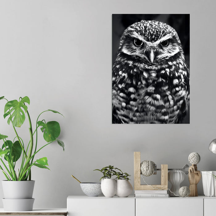 Owl BW - Acrylic Wall Art Poster Print