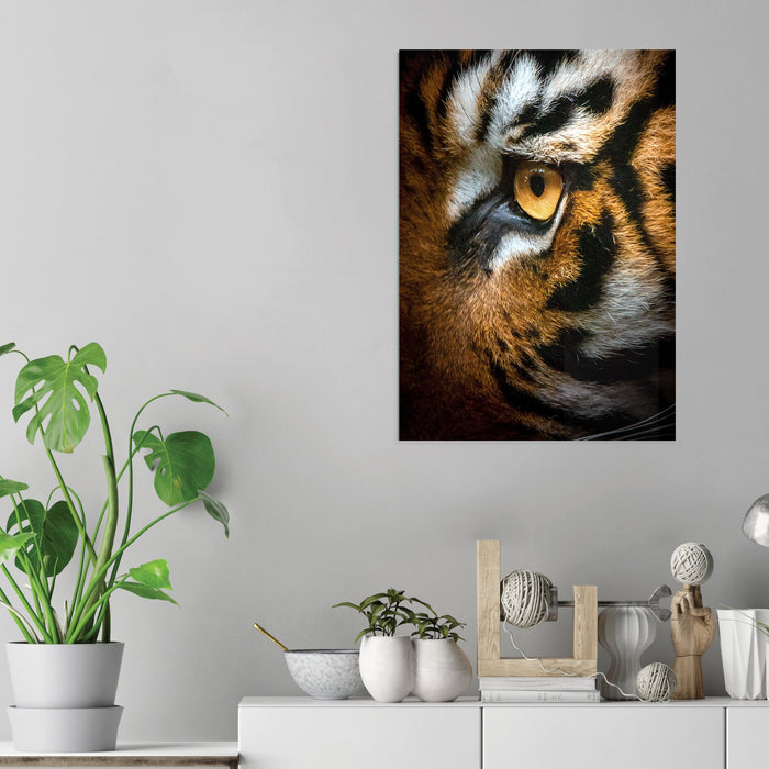 Tiger Eye - Acrylic Wall Art Poster Print