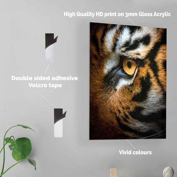Tiger Eye - Acrylic Wall Art Poster Print
