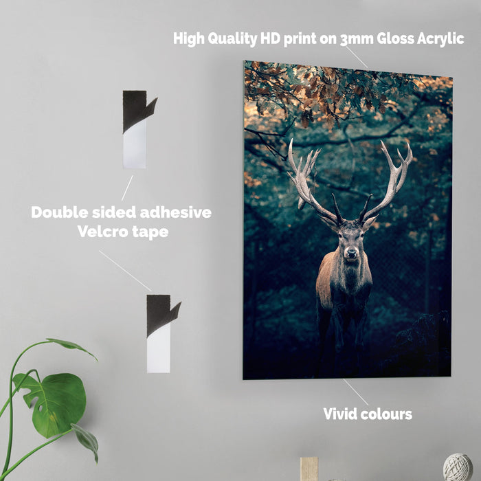 Deer - Acrylic Wall Art Poster Print