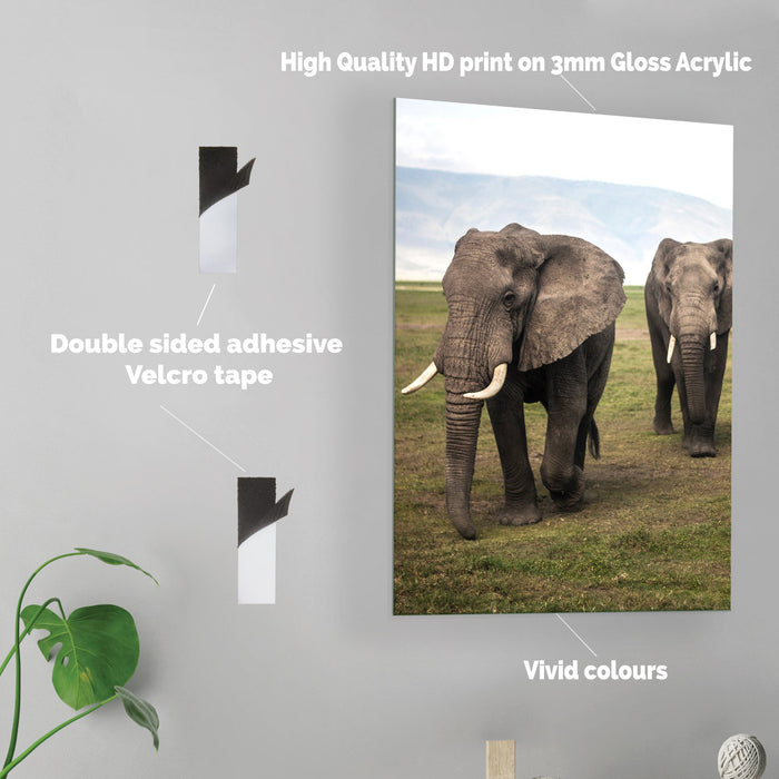 Elephants - Acrylic Wall Art Poster Print