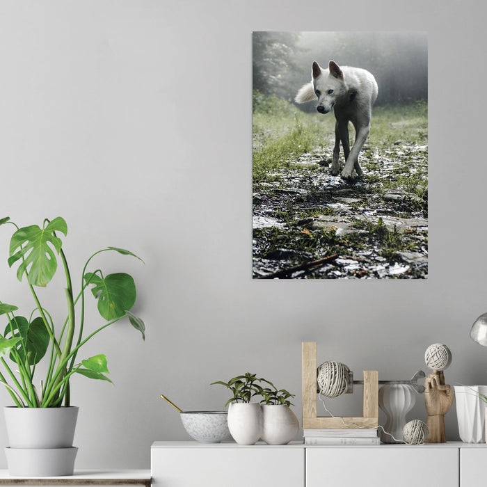 Wolf - Acrylic Wall Art Poster Print