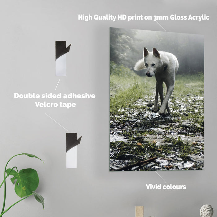 Wolf - Acrylic Wall Art Poster Print