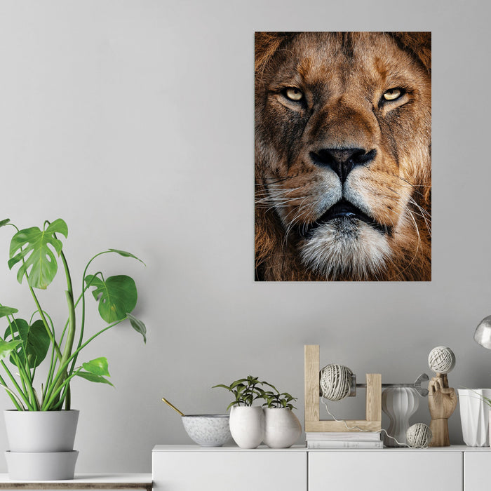 Lion - Acrylic Wall Art Poster Print