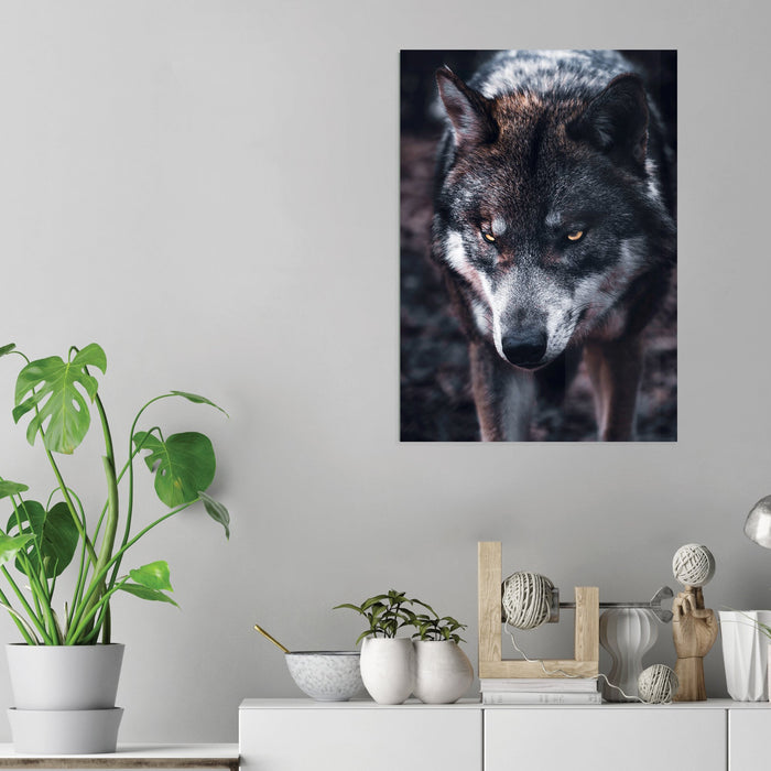 Wolf - Acrylic Wall Art Poster Print