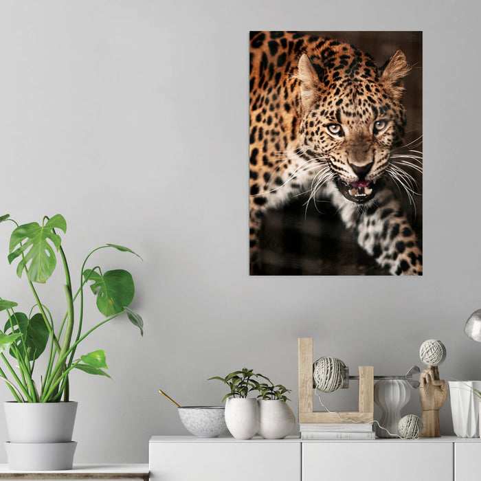 Jaguar - Acrylic Wall Art Poster Print