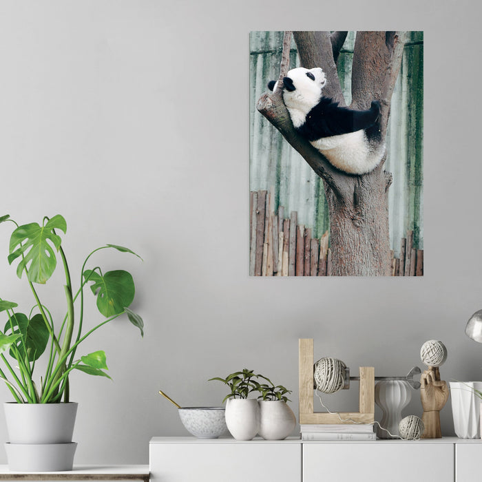 Panda - Acrylic Wall Art Poster Print