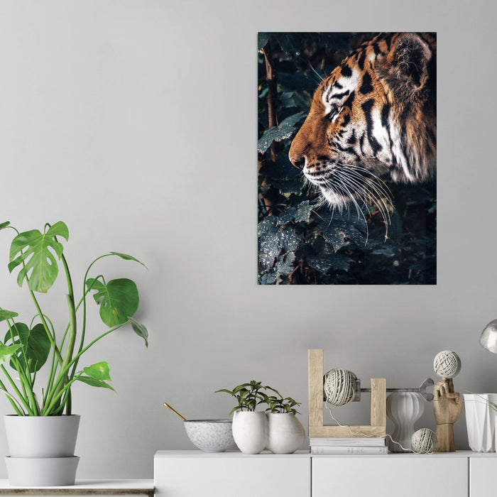 Tiger - Acrylic Wall Art Poster Print