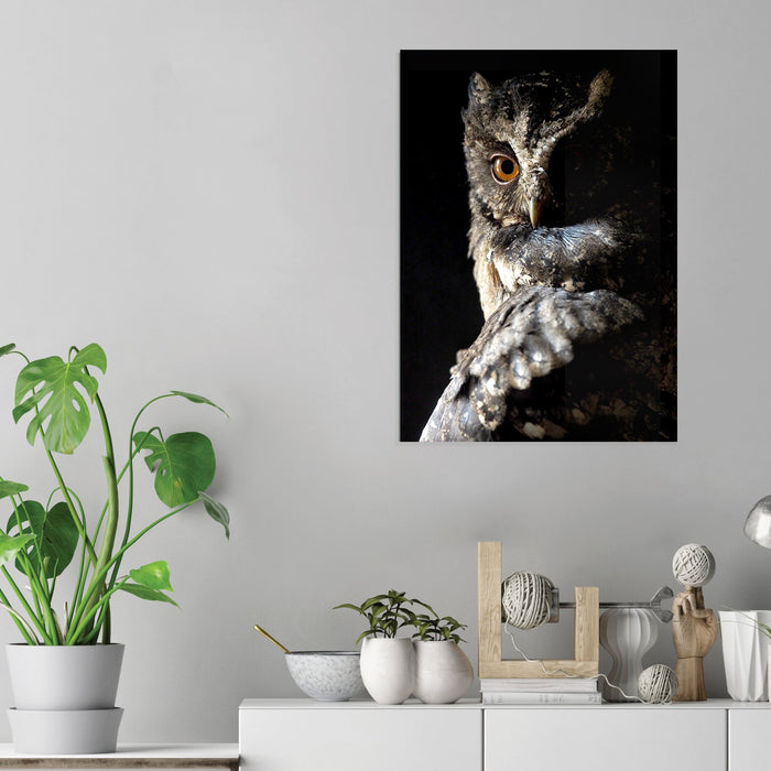 Owl - Acrylic Wall Art Poster Print