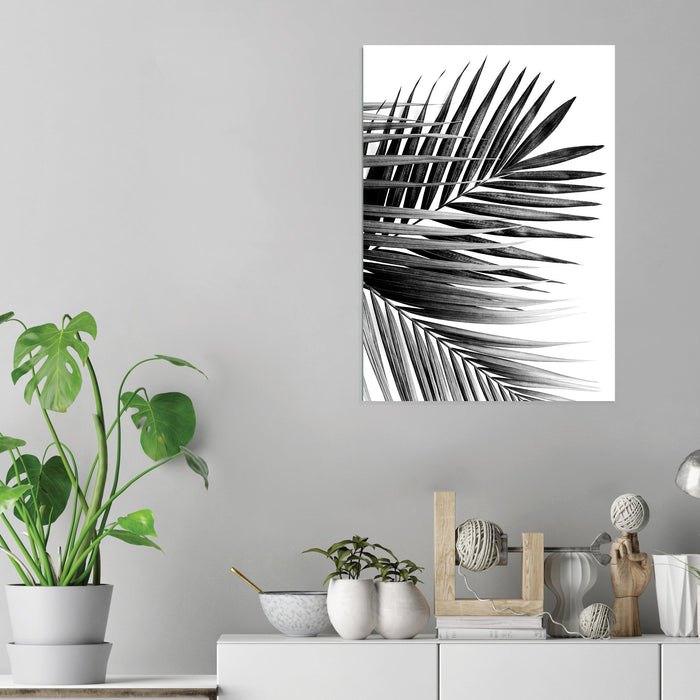 Palm Leaves - Acrylic Wall Art Poster Print