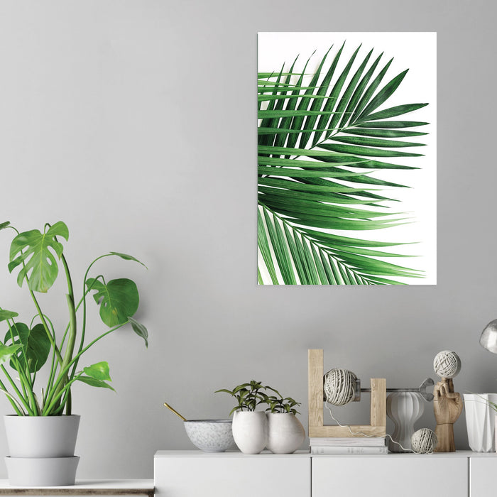 Palm Leaves - Acrylic Wall Art Poster Print