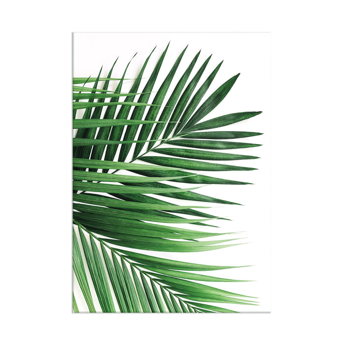 Palm Leaves - Acrylic Wall Art Poster Print