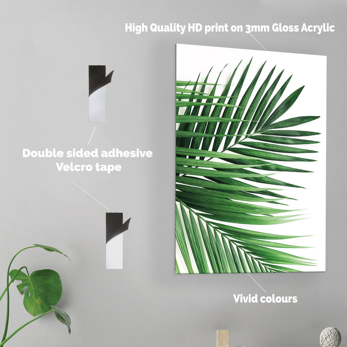 Palm Leaves - Acrylic Wall Art Poster Print