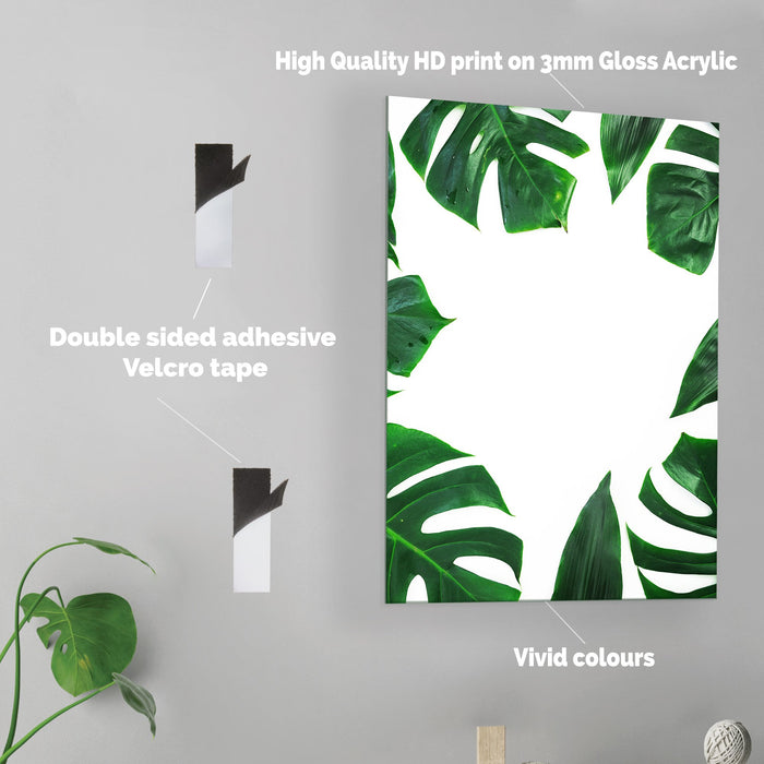 Leaves - Acrylic Wall Art Poster Print