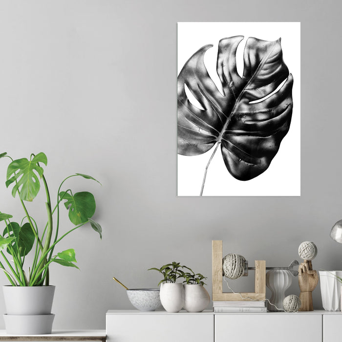 Monstera Plant - Acrylic Wall Art Poster Print