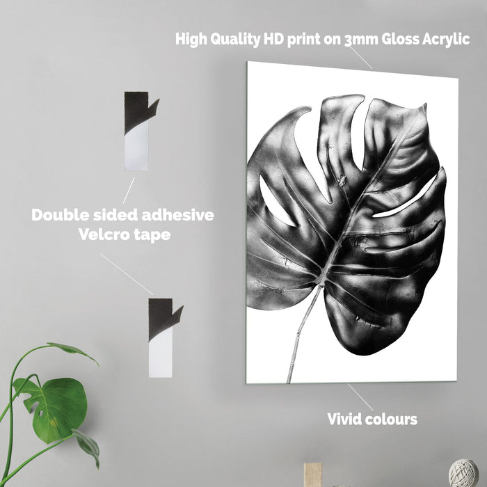 Monstera Plant - Acrylic Wall Art Poster Print