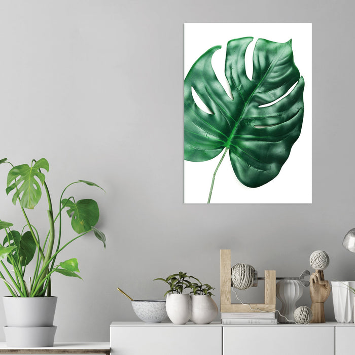 Monstera Leaf - Acrylic Wall Art Poster Print