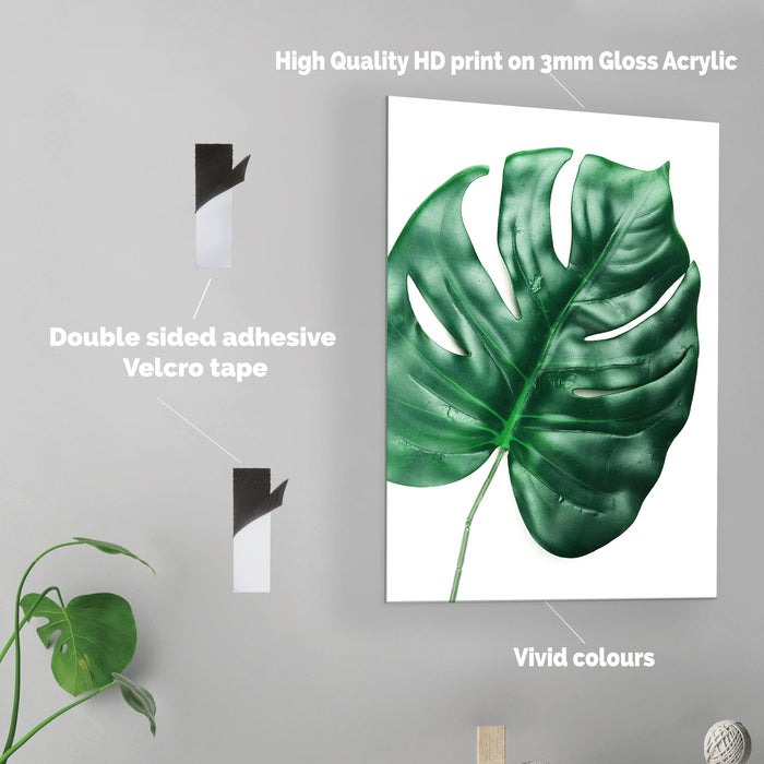 Monstera Leaf - Acrylic Wall Art Poster Print