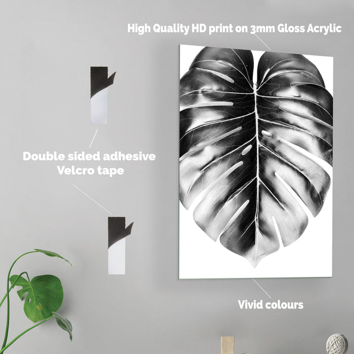 Monstera Leaves - Acrylic Wall Art Poster Print