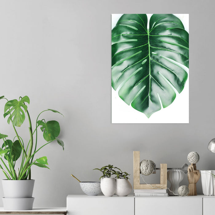 Monstera - Acrylic Wall Art Poster Print