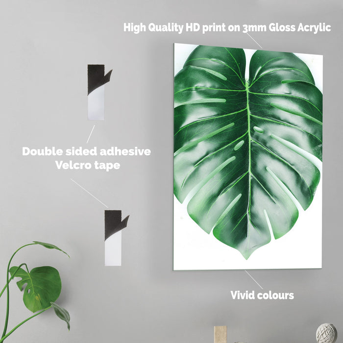 Monstera - Acrylic Wall Art Poster Print