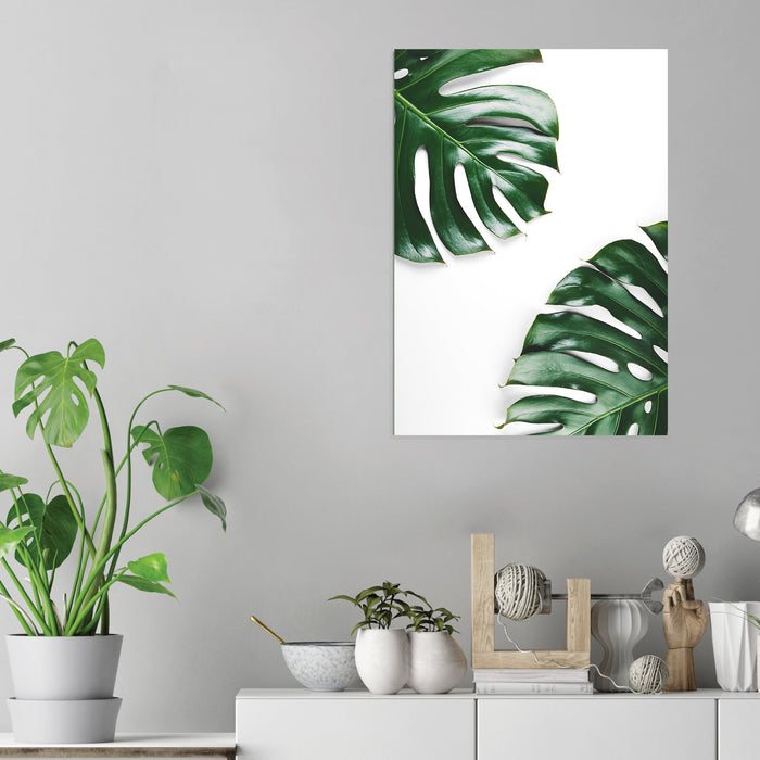 Monstera Plant - Acrylic Wall Art Poster Print