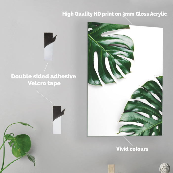 Monstera Plant - Acrylic Wall Art Poster Print