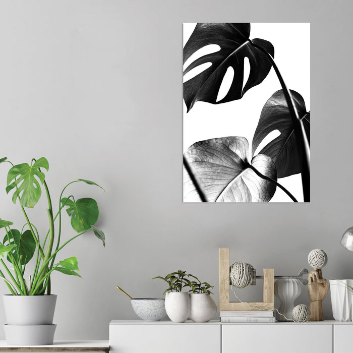 Plant Leaves - Acrylic Wall Art Poster Print